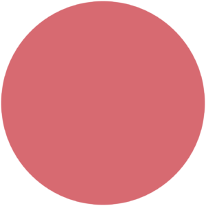 Large red circle icon for the about section