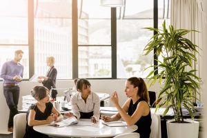Smart, casually dresses female professionals planning at table in light-filled office